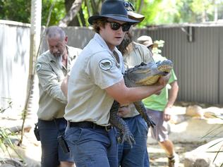 Gators snap up new home at Billabong