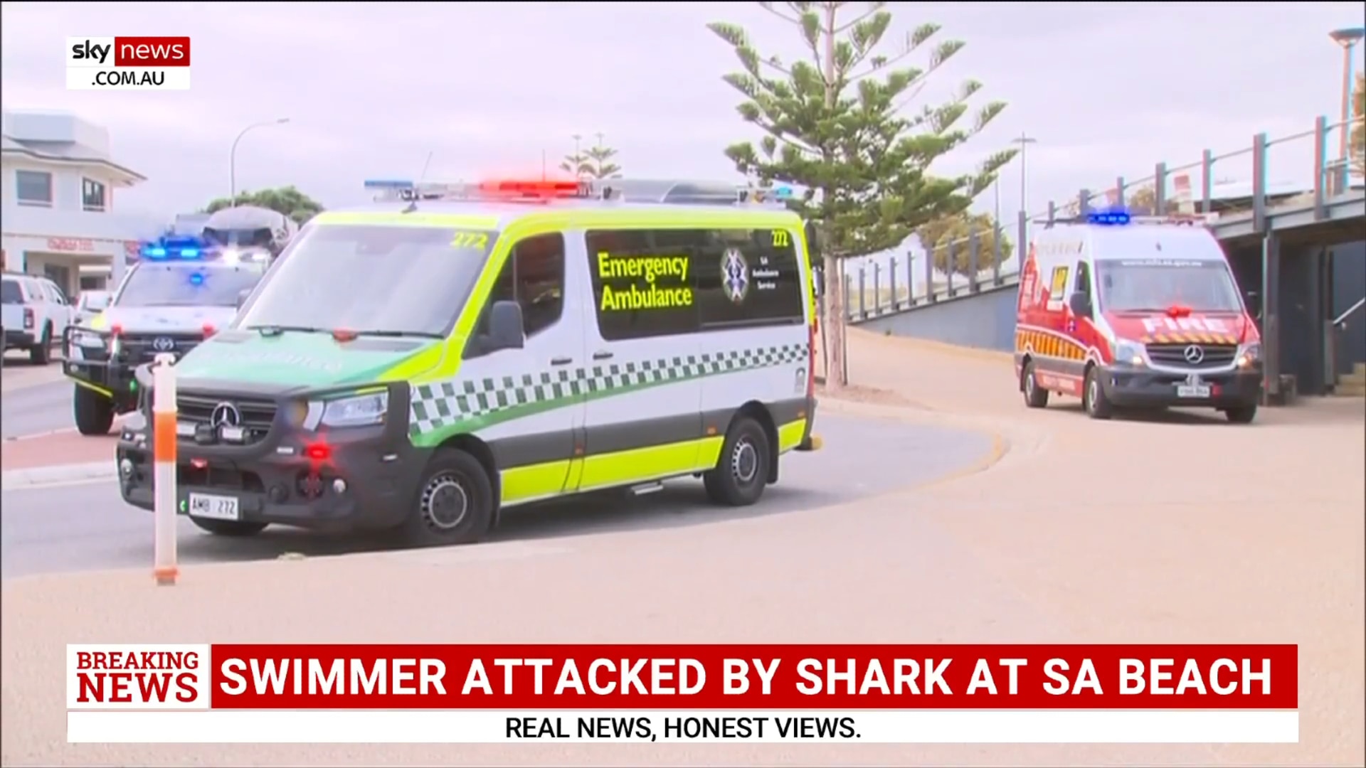 Swimmer attacked by shark at popular South Australian beach