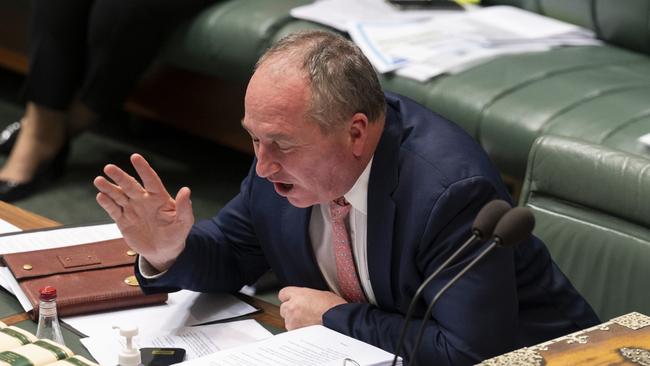 Deputy Prime Minister Barnaby Joyce during Question Time this week. Picture: NCA NewsWire / Martin Ollman