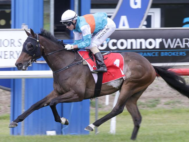 Riodini has been supported to win the Group 2 Apollo Stakes. Picture: Trish Dunell