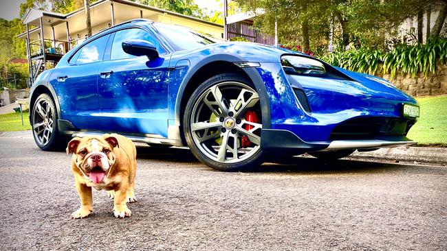 Sterling the bulldog with the Porsche Taycan 4S Cross Turismo featuring an "off-road" pack option.