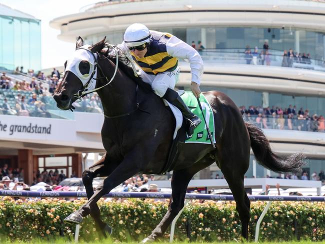 Warmonger (NZ) ridden by Damian Lane wins the TAB Trophy at Flemington Racecourse on November 07, 2023 in Flemington, Australia. (Photo by George Sal/Racing Photos via Getty Images)