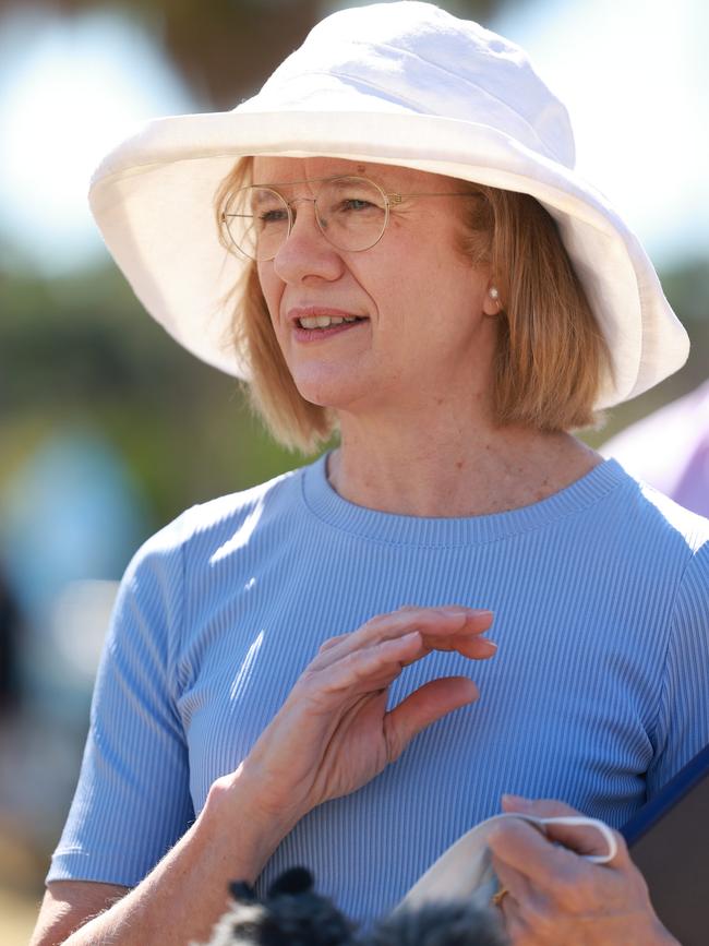 Chief Health Officer Jeanette Young. Pic Peter Wallis