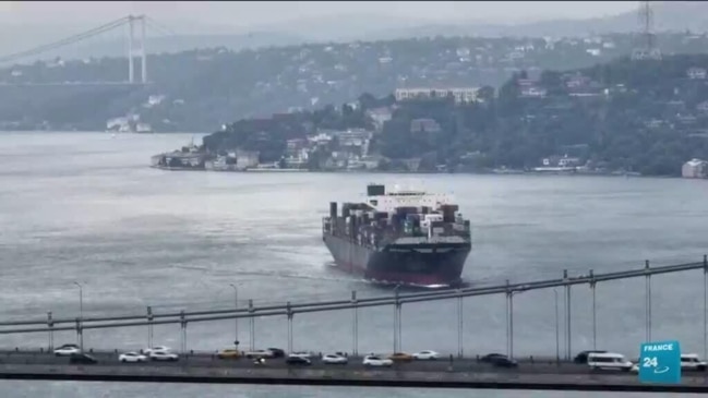 Ukraine port ship reaches Istanbul despite Russian blockade