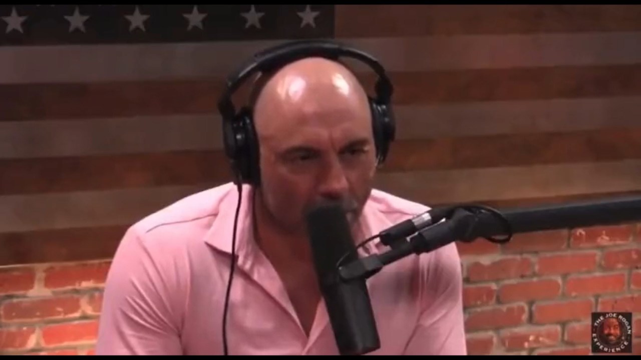 Joe Rogan announces ‘endorsement of Trump’ while promoting Elon Musk