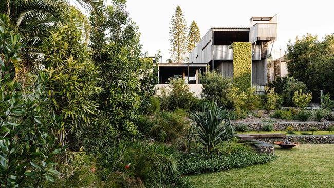 To enhance the idea of “nature taking over”, there are random openings and cut-outs in the walls and boardwalk where plants scramble throug. Photo: Supplied