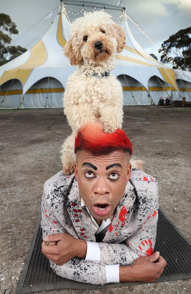Silvers Circus is back in town. Ringmaster Walison Muh finds his own master in Charlie the Wonder Dog. Picture: David Caird