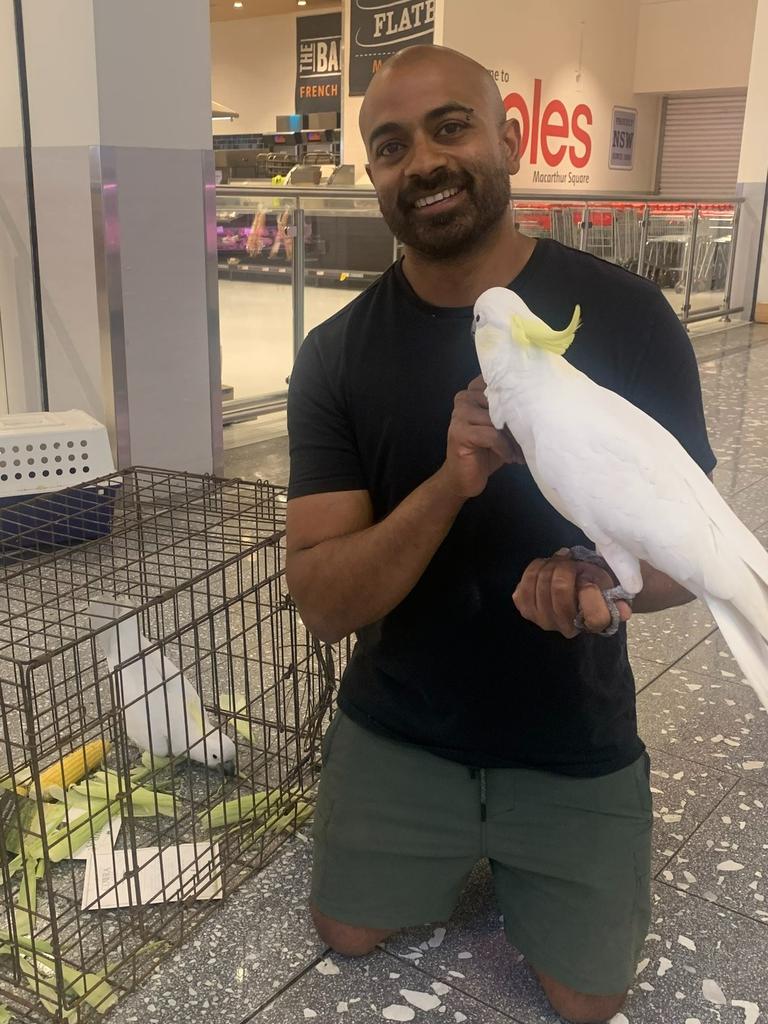 … and his faithful feathered assistant “Old Lady Doris” to help win over Mickey and safely escort him from the store. Picture: Macarthur Square