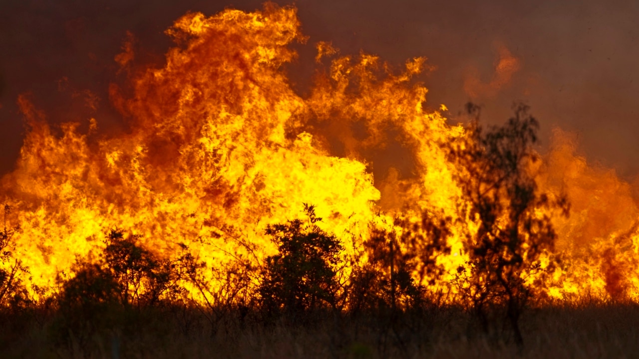 A dozen Queensland homes lost to bushfires