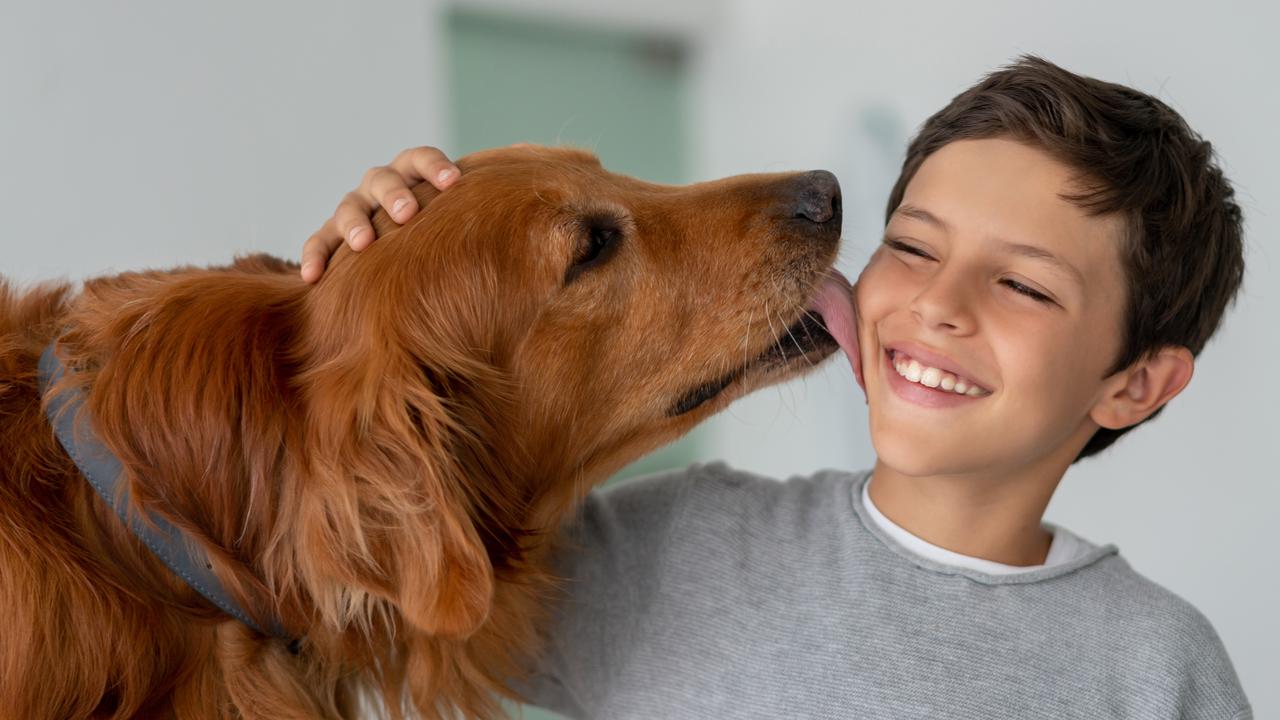 Humans and dogs both experience a lift in their love hormone levels when they interact. Picture: iStock