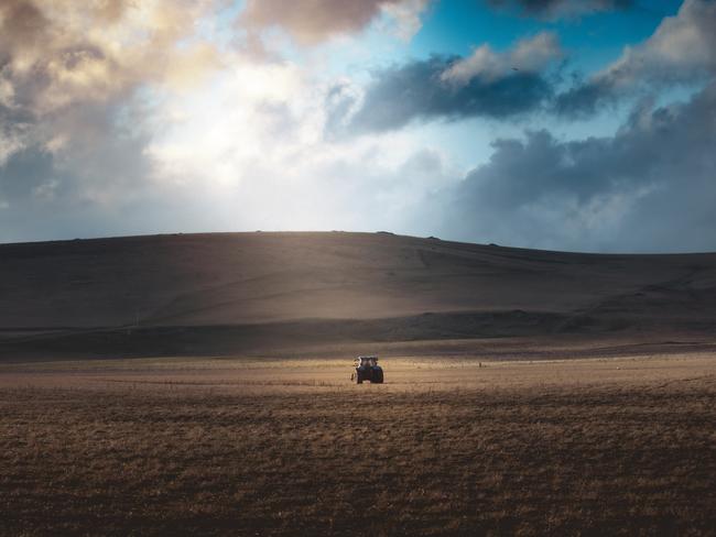 Tasmania’s rolling hills provided the perfect backdrop for new film Ancestry Road. Picture: Grant Salter