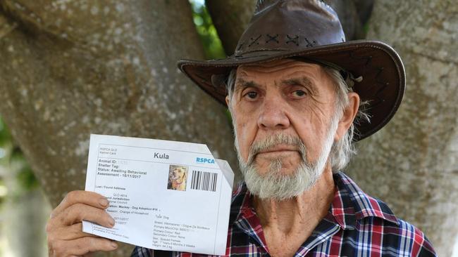 Syd Miels, from Plane Creek, after his weimararer dog Kula died after eating 1080 baits.