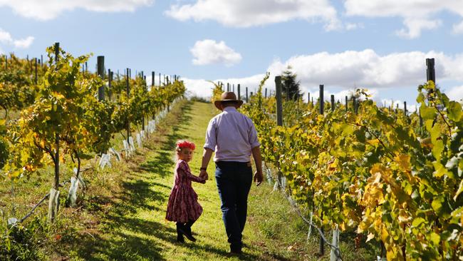 A NSW vineyard. Picture: Destination NSW