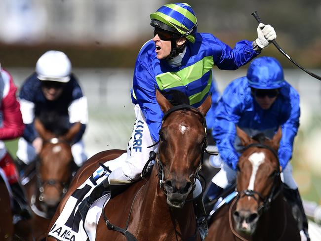 Nick Hall reacts as he rides Jameka to victory in the Caulfield Cup. Picture: AAP