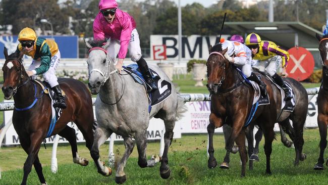 Catkins returned to her best in the Sheraco Stakes. Picture: Simon Bullard