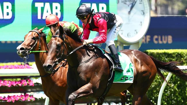 Gallant Star is flying for Dubbo trainer Brett Robb. Picture: Jeremy Ng/Getty Images