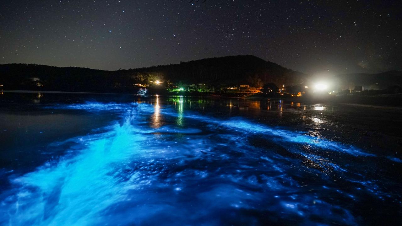 Bioluminescence Tasmania: Photographer Jamie Walker captures phenomenon ...