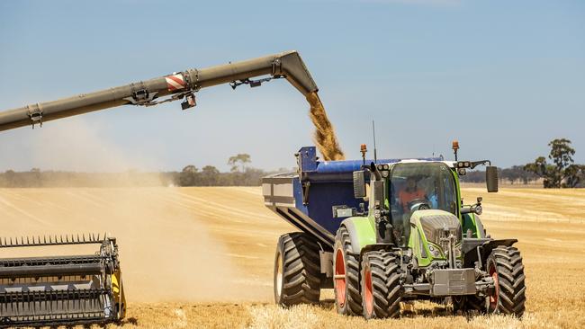 Rob Mountjoy harvesting at Neilborough. Picture: Zoe Phillips