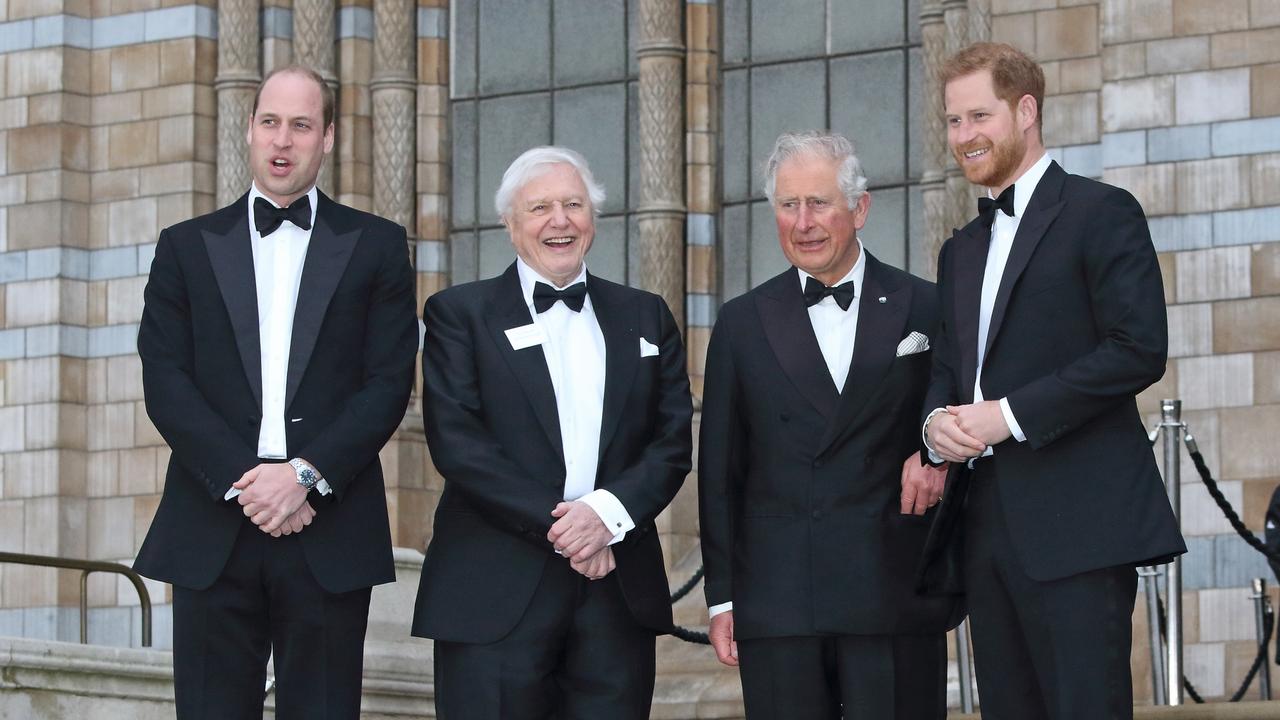 Prince William Sir David Attenborough, King Charles and Prince Harry pictured together in Kensington in 2019. Picture: Getty Images.