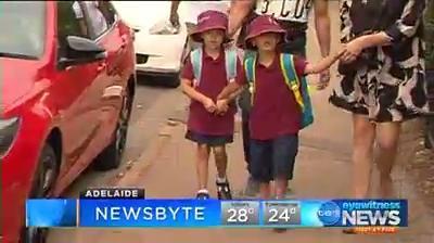 Adelaide’s Afternoon Newsbyte - 29/01/2017