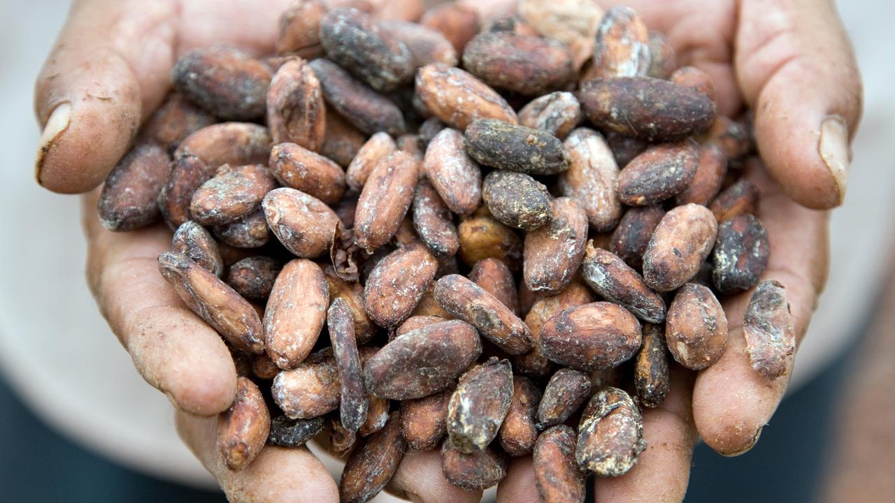 The delicious and versatile cacao beans. Picture: supplied