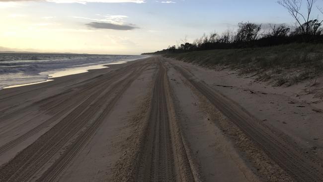 Bribie Island locals are calling for a ban on 4WD on the island’s vulnerable beaches. Photo. supplied.