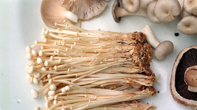 Enoki mushrooms. mushroom /Mushrooms