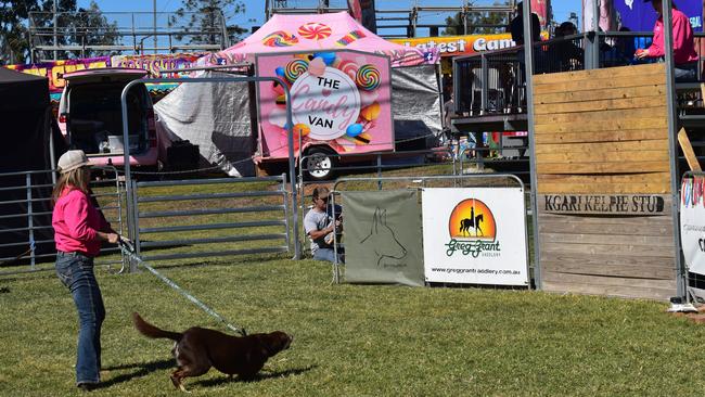 All the action from the 150th Ipswich Show on the 21st of May, 2023. Photographed by Georgie Walker.