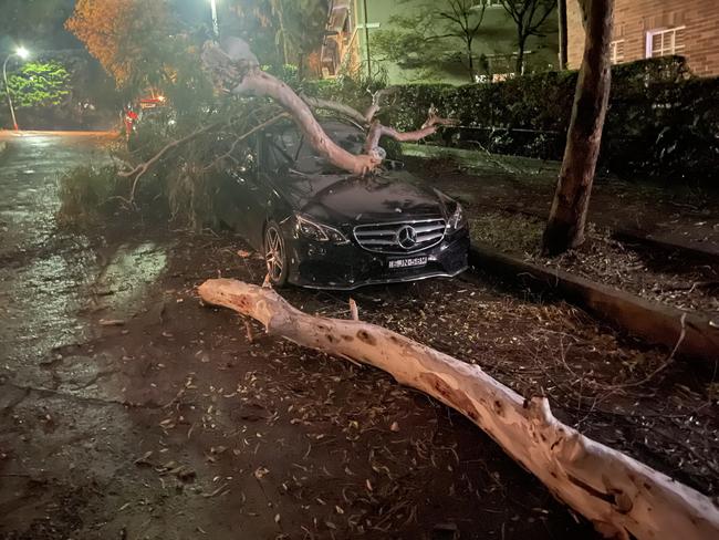 A Mercedes car on Gladswood Gardens in Double Bay that had a tree land on it after wild weather on Monday afternoon. Picture: Supplied