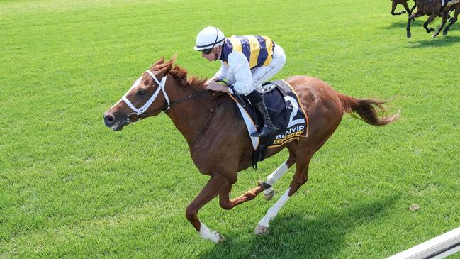 Deakin can continue his rapid development when he heads to Flemington on Saturday. Picture: Racing Photos via Getty Images