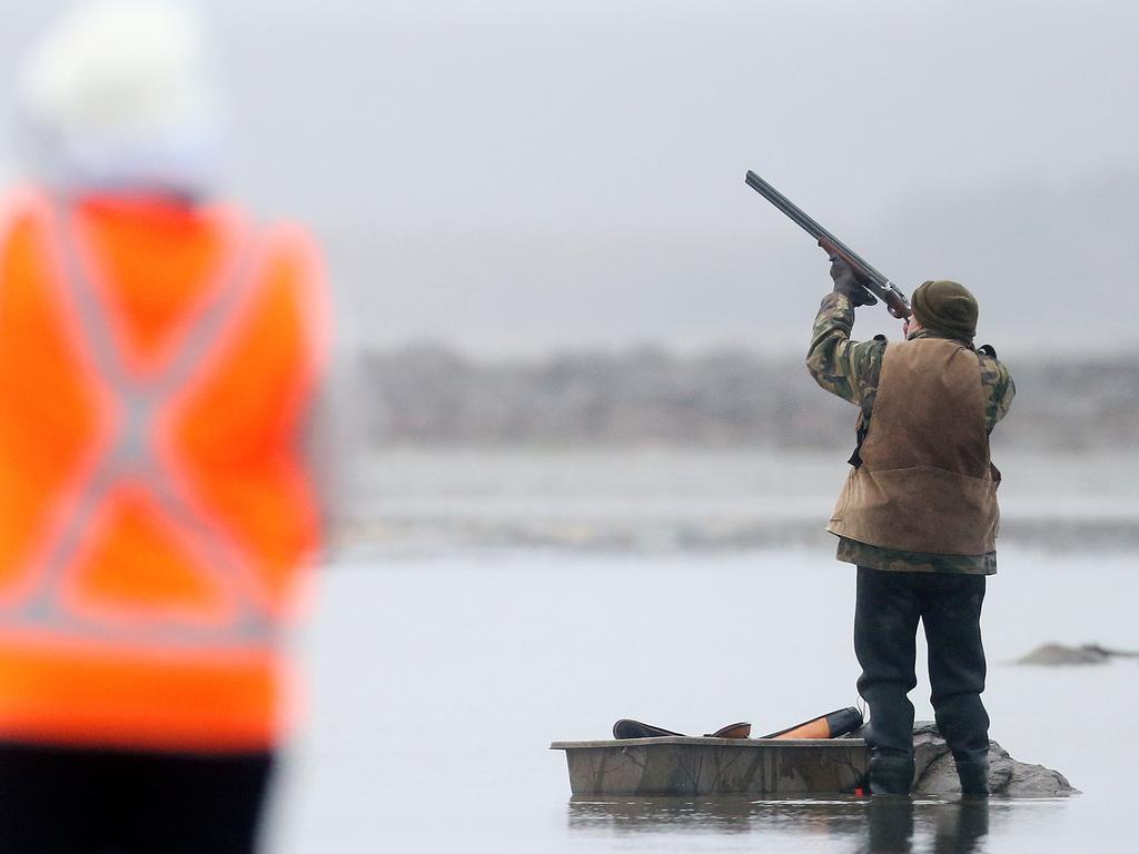 No decision has been made on Victoria’s 2025 duck hunting season.