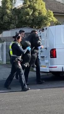 Police retrieve stolen gorilla statue in Melbourne