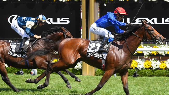 Marmelo was beaten a length by Cross Counter in the Melbourne Cup. Picture: Getty Images