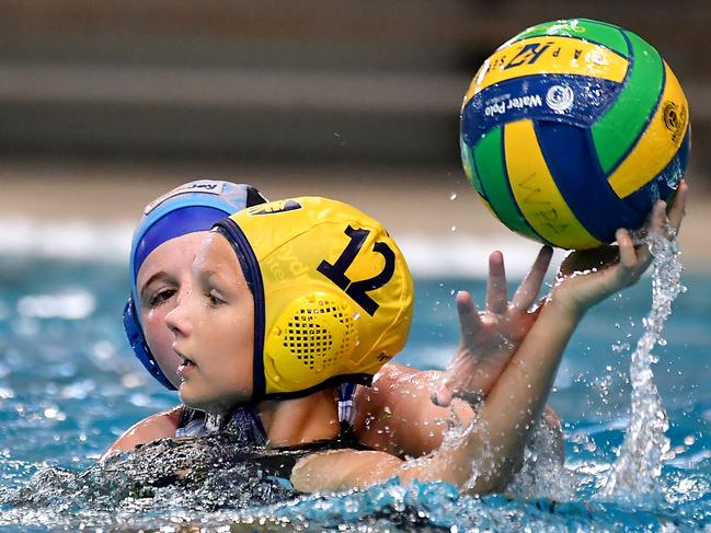 Sydney University Cubs have been a top club at the Australian Water Polo Youth Championships since the tournament’s inception in 2019. Picture: John Gass