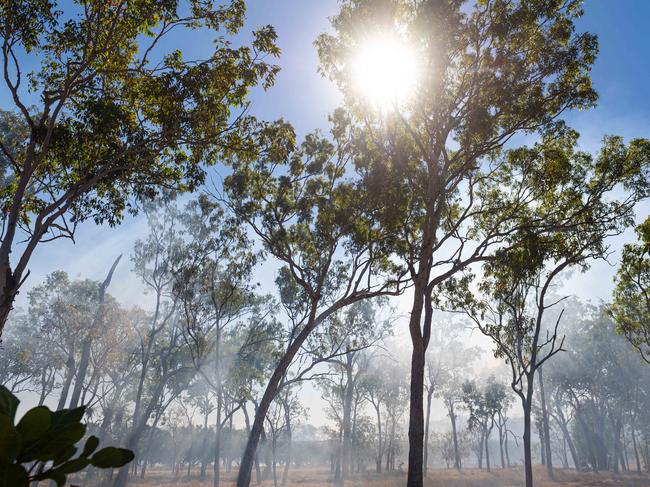 A bushfire ripped through the Livingstone area this afternoon, threatening local properties. Picture: Che Chorley