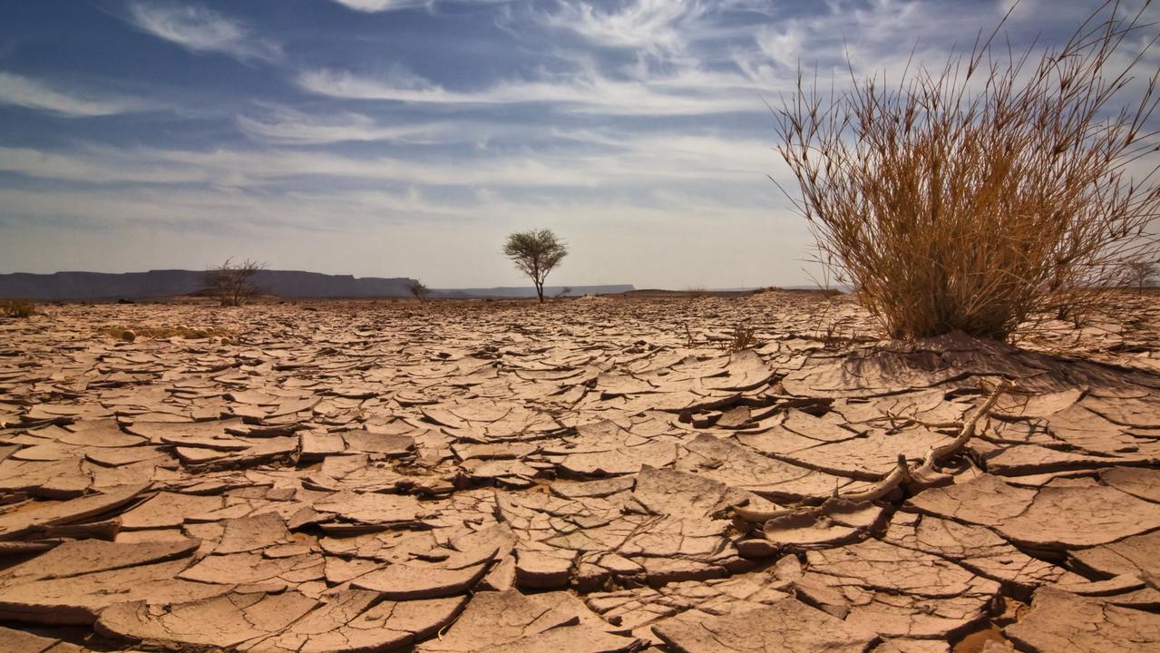 Australia has been gripped by drought throughout 2019.