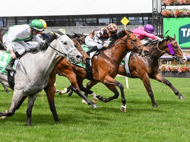 Warnie (IRE) ridden by Ethan Brown wins the TAB We're On at Flemington Racecourse on October 05, 2024 in Flemington, Australia. (Photo by Brett Holburt/Racing Photos)