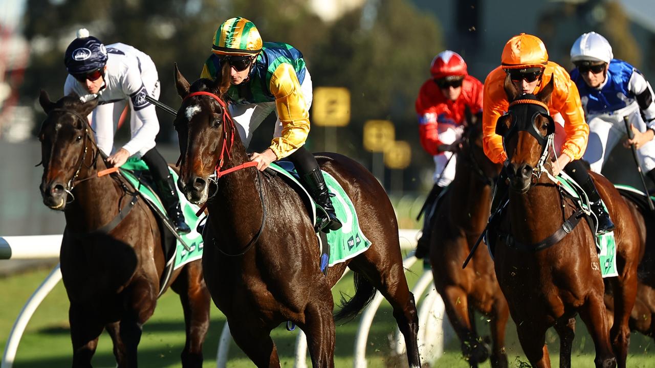 Ceolwulf (second from left) delivered on his potential with an impressive win at Rosehill. Picture: Getty Images