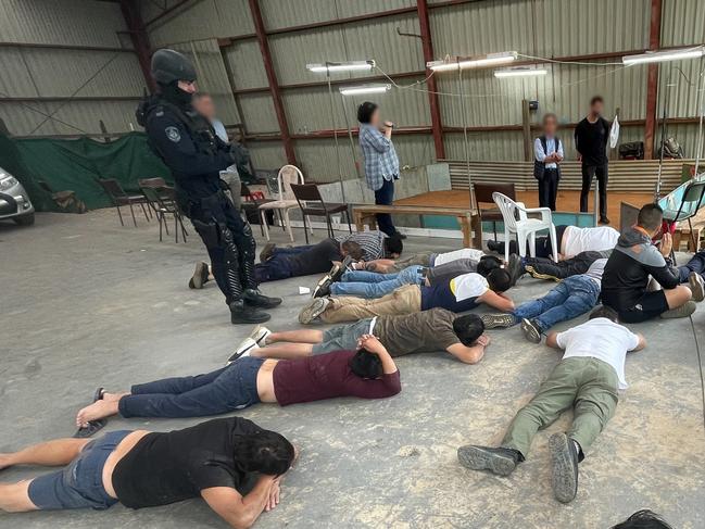 Organised Crime Squad detectives, together with RSCPA NSW Inspectors, have dismantled an illegal cockfighting syndicate and seized 71 fighting cockerels, following a joint investigation into animal cruelty offences., Picture: NSW Police