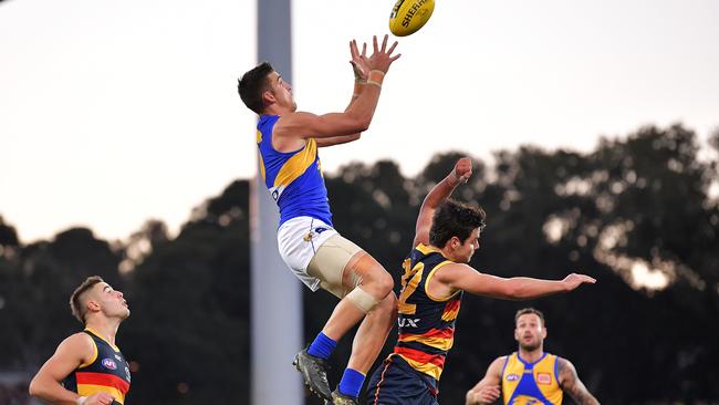 Elliot Yeo takes a hanger over Darcy Fogarty.