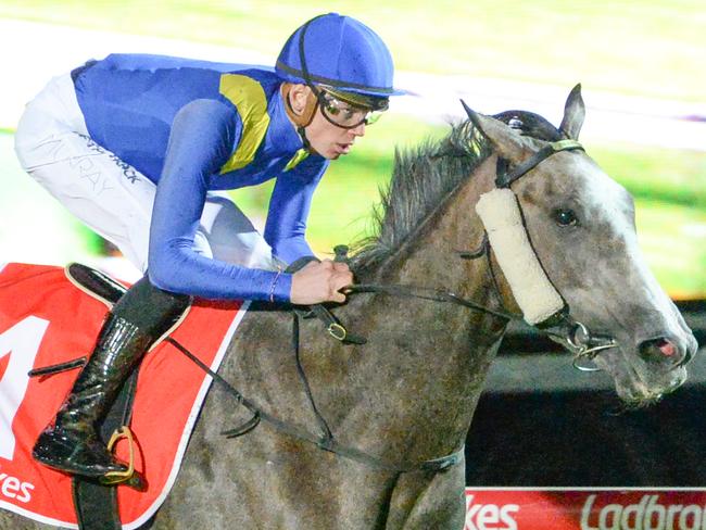 Stormy Grey (USA) ridden by Callan Murray wins the Stables Plus Maiden Plate at Cranbourne Racecourse on May 05, 2023 in Cranbourne, Australia. (Photo by Ross Holburt/Racing Photos)