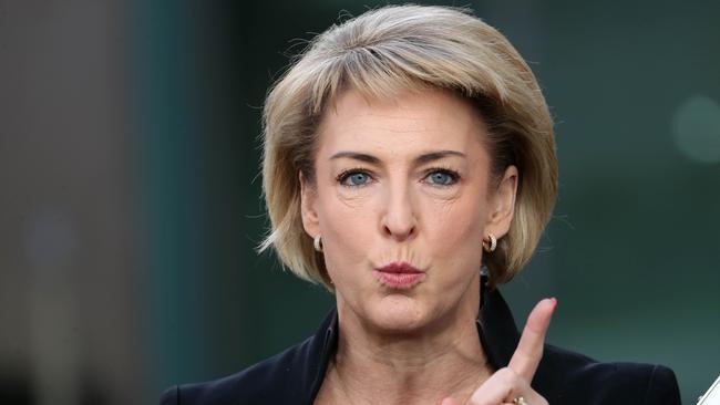 Michaelia Cash during a press conference at Parliament House in Canberra. Picture: Gary Ramage