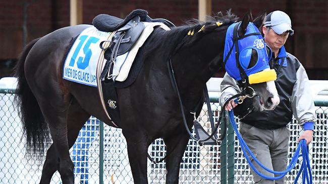 Quinny reckons Japanese raider Mer De Glace is a great each-way chance in the Caulfield Cup. Picture: Getty Images