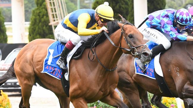 Strawberry Rock in full flight at The Valley. Picture: Brett Holburt / Racing Photos