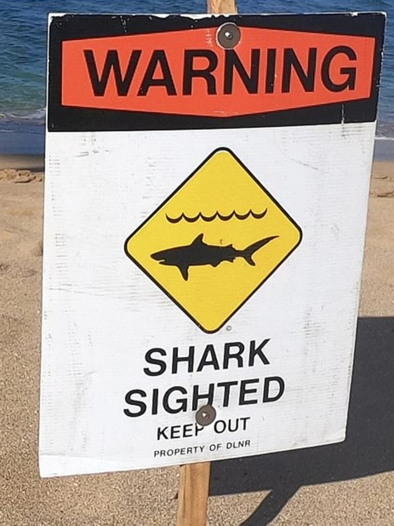 Shark warning signs were posted. Picture: Facebook.