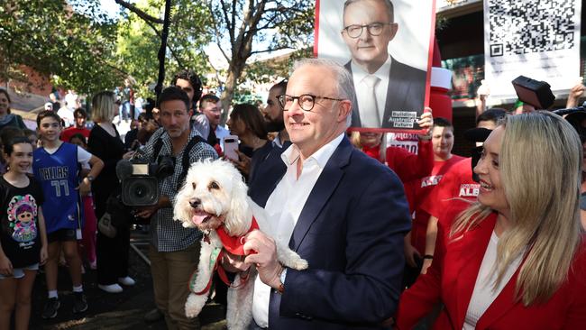 Mr Albanese’s beloved cavoodle Toto was brought along to the voting booth. Picture: Jason Edwards / NewsWire