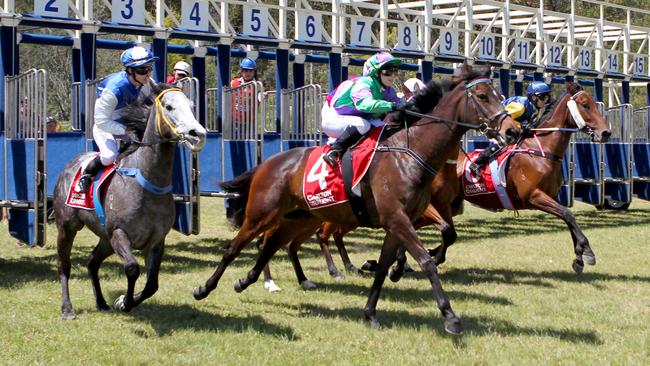 Nowra will host an eight-race card on Friday. Picture: Hollie Adams