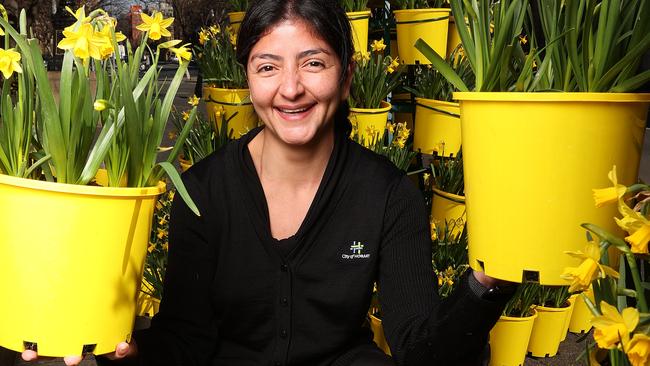 Customer service officer for the Hobart City Council, Naoelle Perez Assad with Daffodils Daffodil Day Cancer Council Tasmania fundraiser. Picture: Zak Simmonds