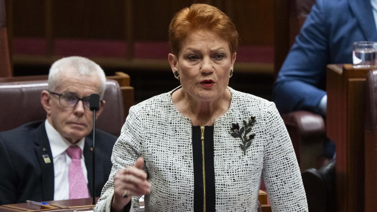 Pauline Hanson wants a ban on foreign ownership of Australian properties. Picture: NCA NewsWire / Martin Ollman