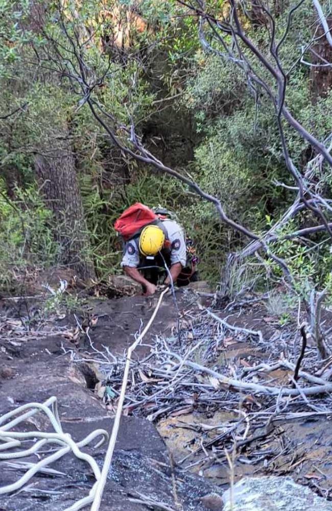 Rescuers climbed about 25m on the side of Mt Ngungun in the Glass House Mountains to reach the beloved pooch.